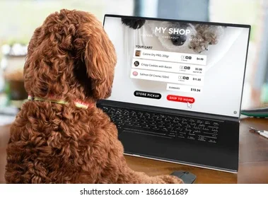 e-ticaret sitesi: Yayın öncesi test siparişi ve operasyon provası