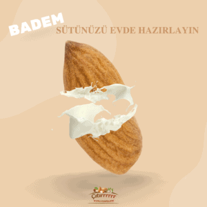 instagram-post-tasarim-ornegi-3