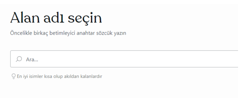 kurumsal web sitesi alan adı