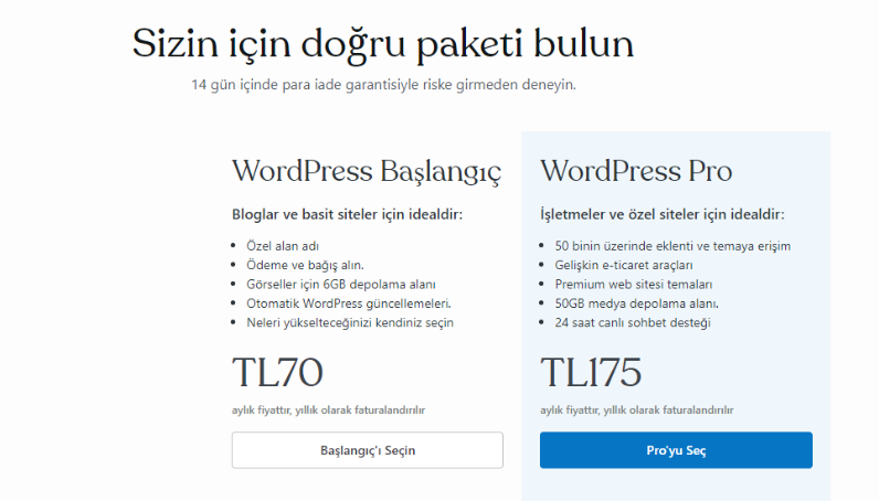 wordpress paket fiyat