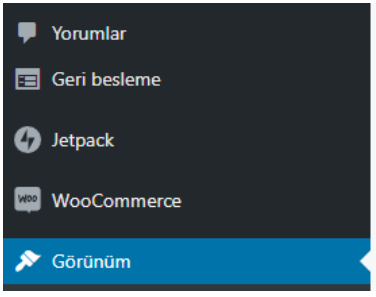 wordpress tema nasıl kurulur