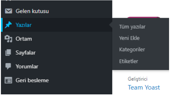 wordpress yazı ekleme