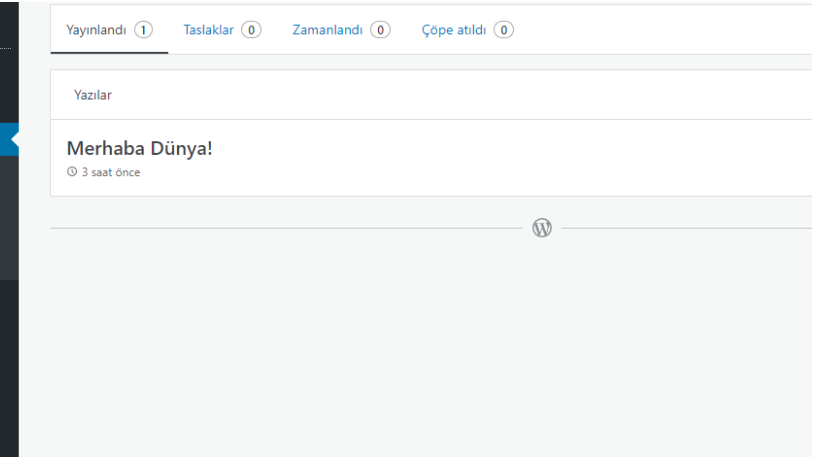 wordpress yazı güncelleme