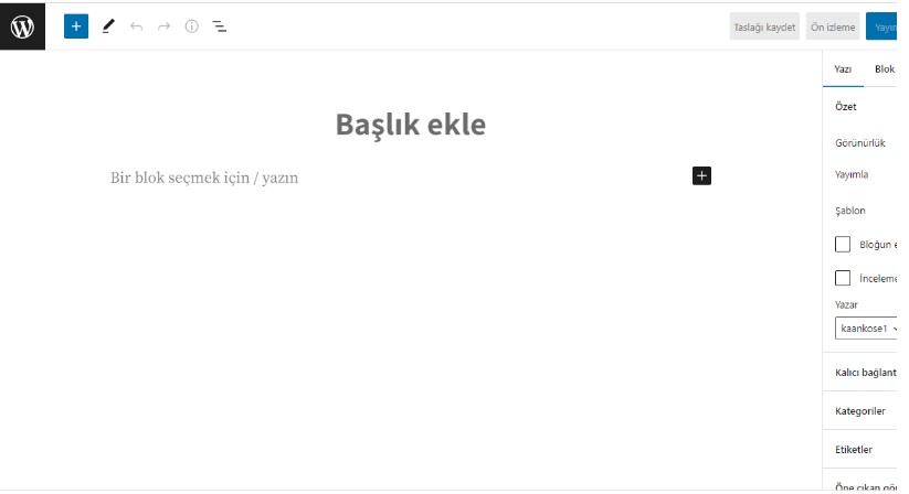 wordpress yazı paneli