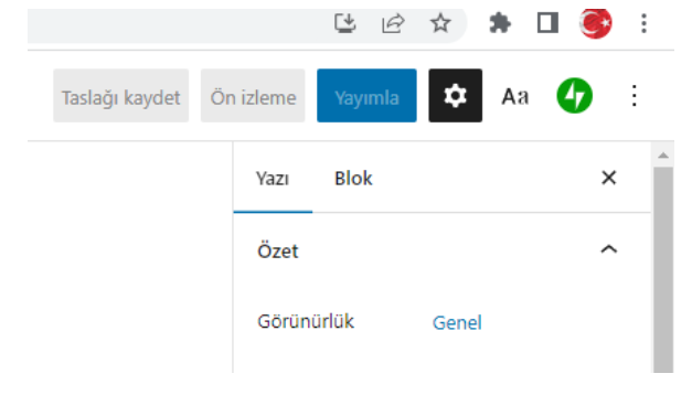wordpress yazı yayınlama