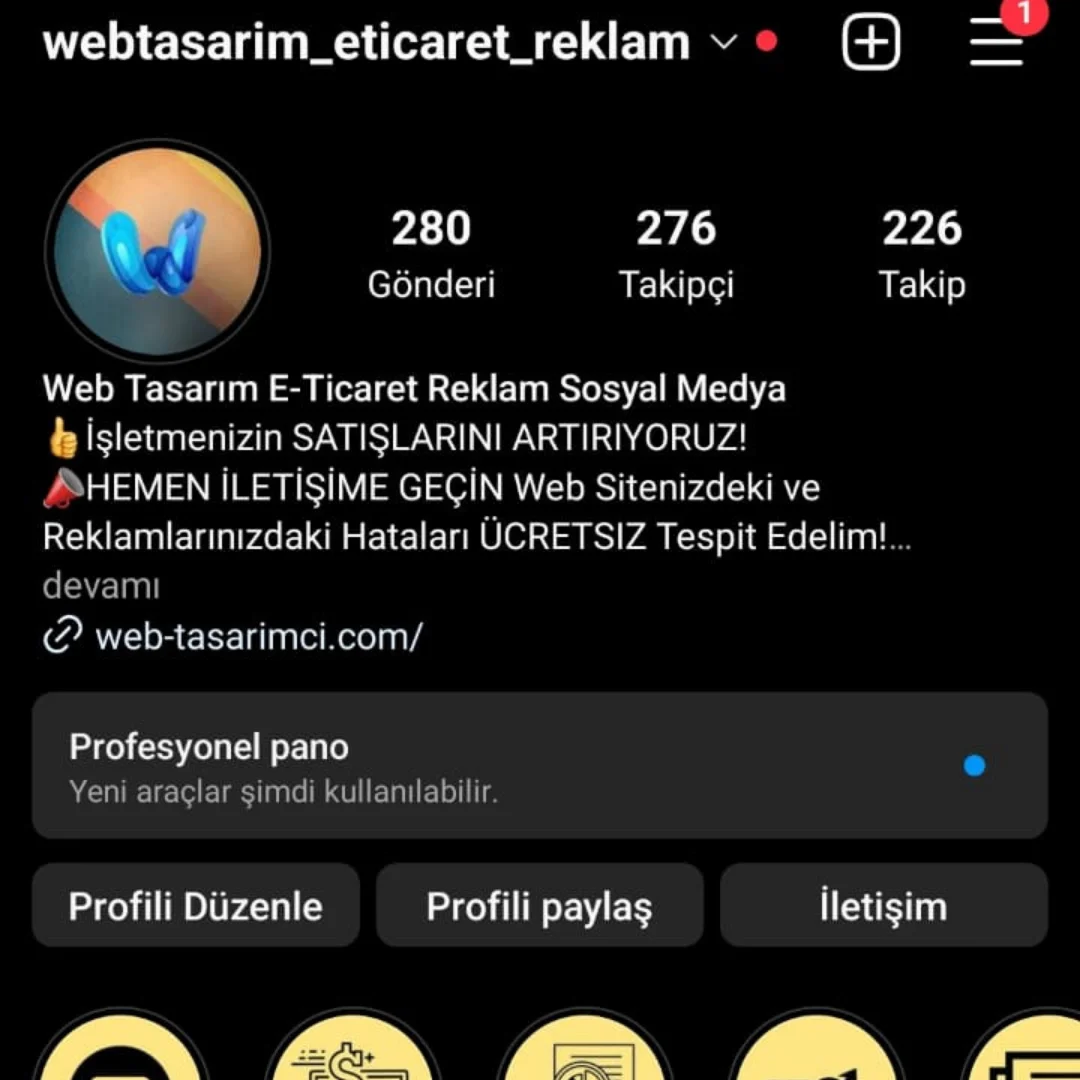 instagram profesyonel pano