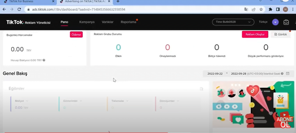 tiktok reklam hesabı genel bakış