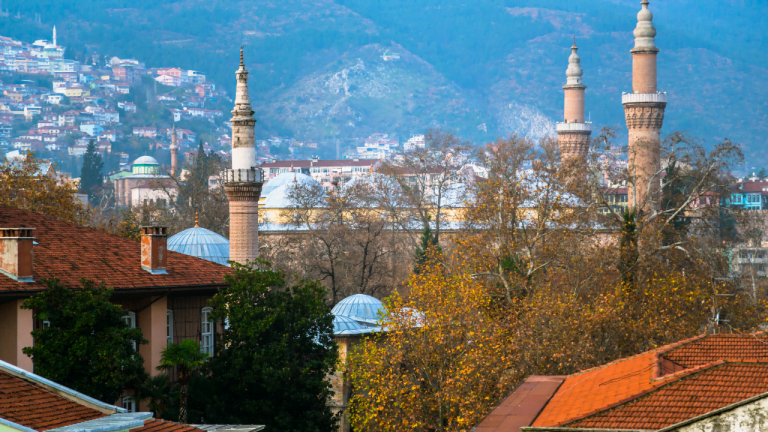 Bursa Sosyal Medya Yönetimi