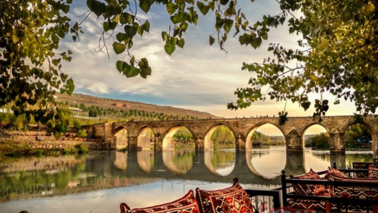 diyarbakır web tasarım