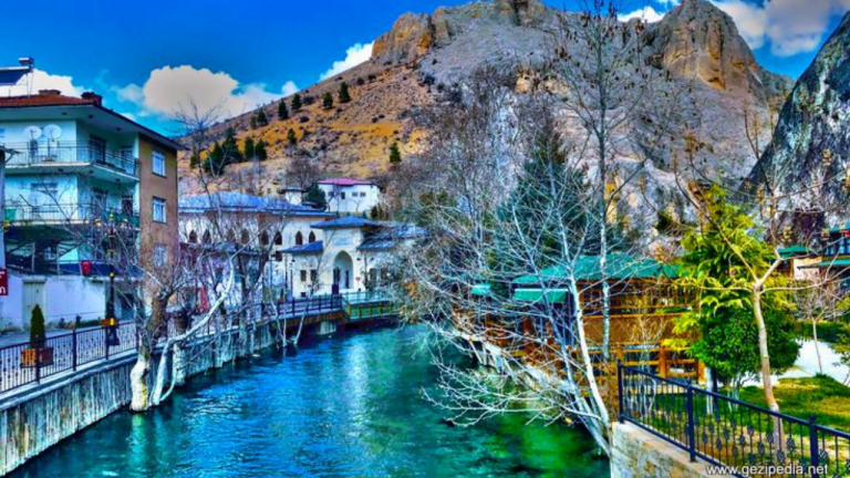 malatya web sitesi kurma