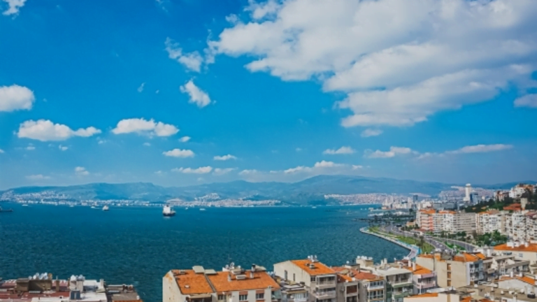 izmir mobil uygulama firmaları