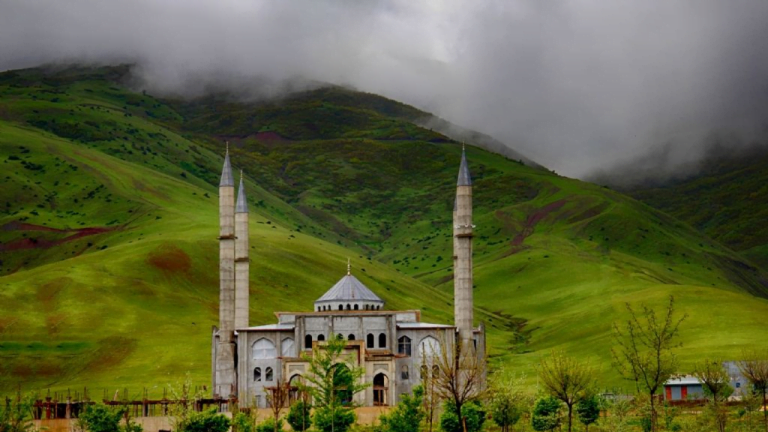 Muş sosyal medya ajansları