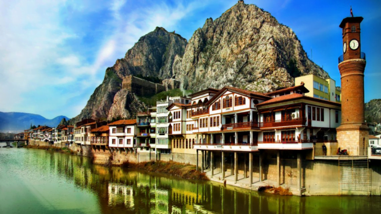 amasya web tasarım
