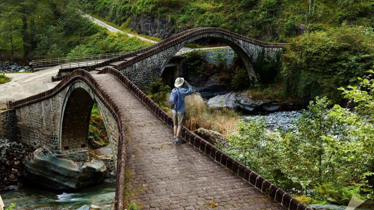 artvin web sitesi kurma