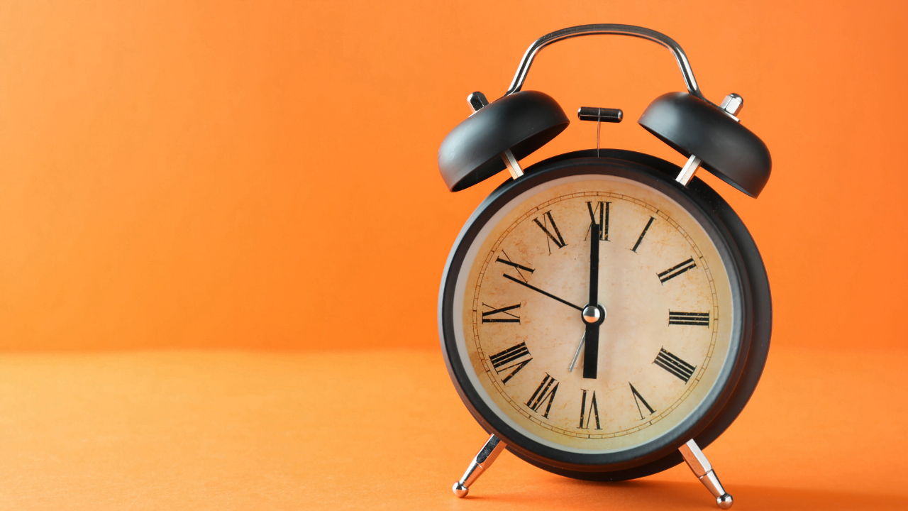 bayburt kurumsal web tasarım