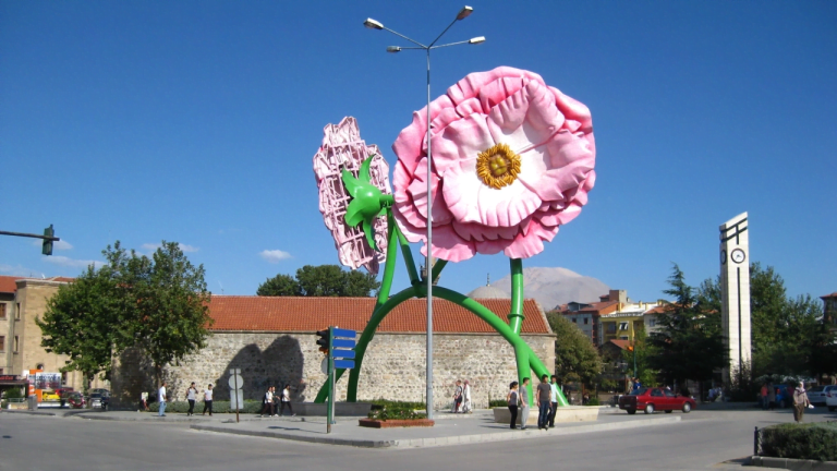 ısparta web tasarım