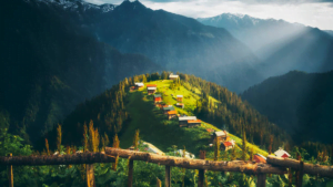 rize web sitesi tasarımı