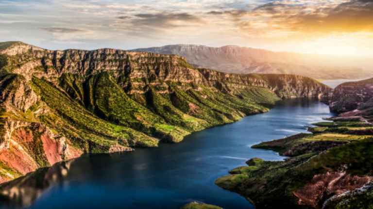 siirt web tasarım firmaları