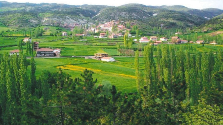 çankırı web tasarım