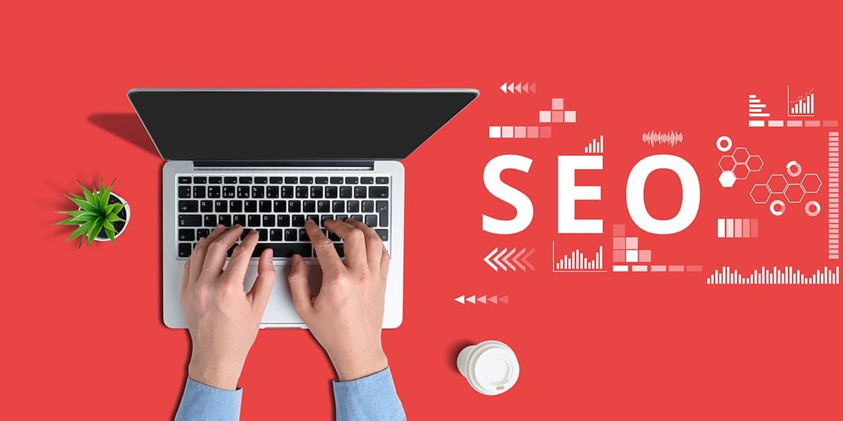Bingöl Web Tasarım Seo