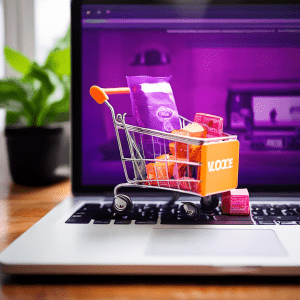 WooCommerce Nasıl Kullanılır?