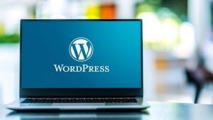 Wordpress Nedir